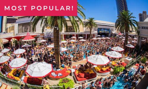 Best Las Vegas Pools & Pool Parties, Travel